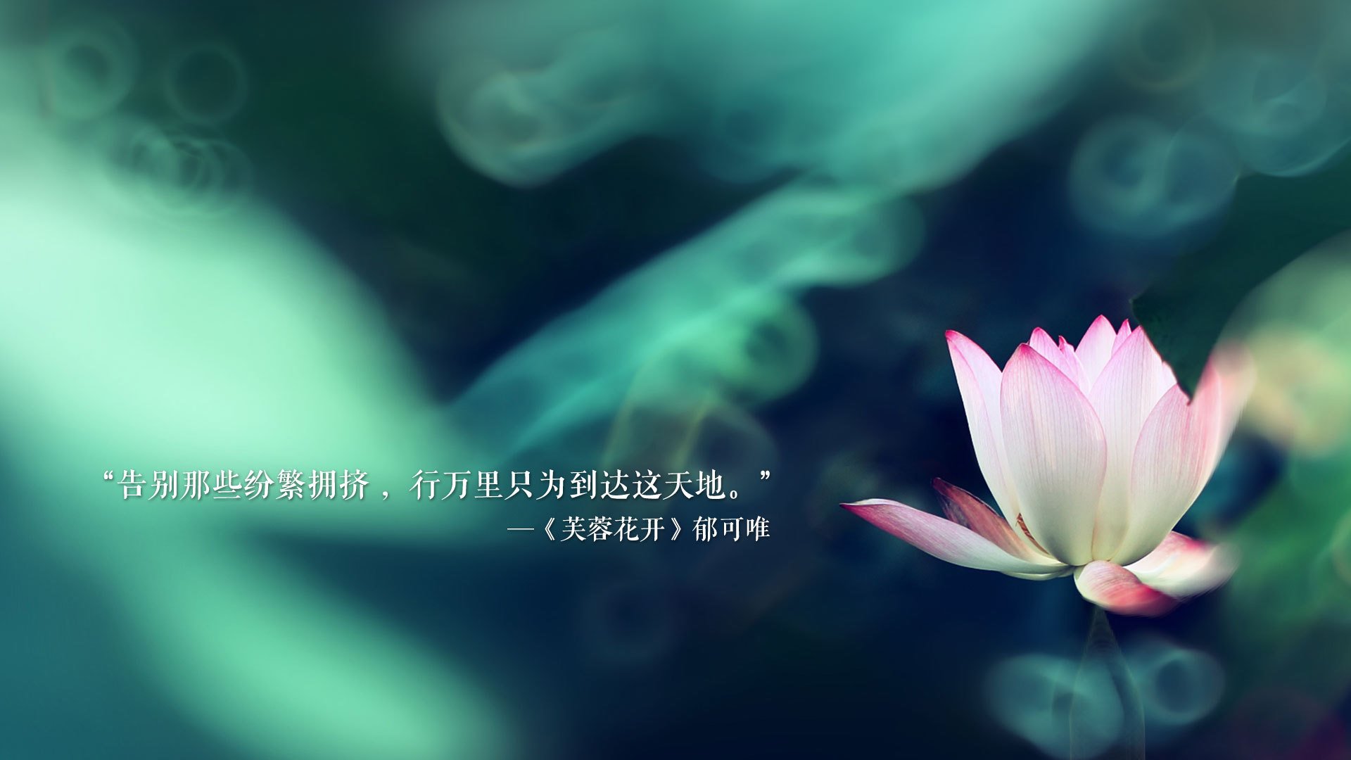 英超争冠之夜,哈利伯顿表现堪称教科书