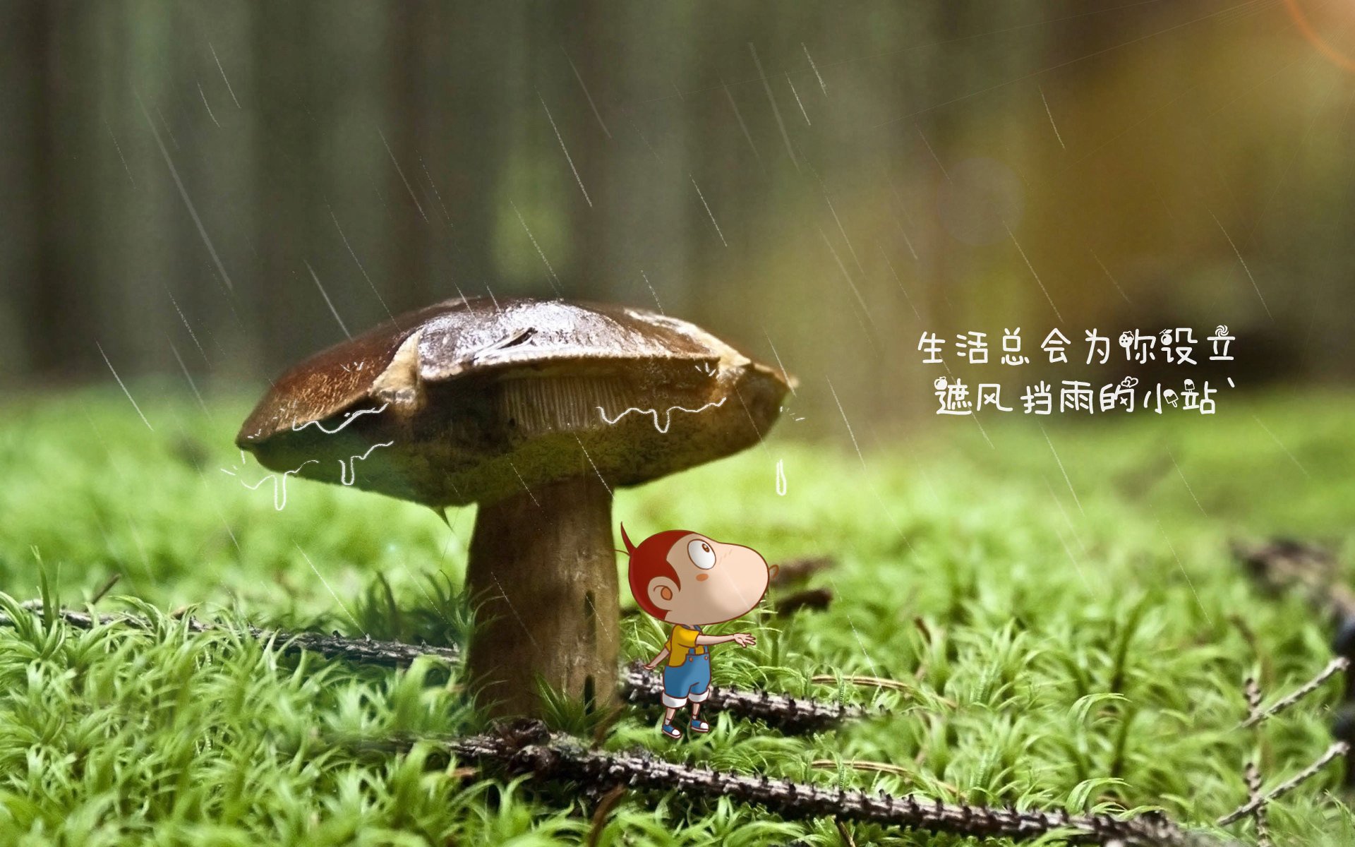 年度焦点之战,辽宁队鏖战国王,一场载入史册的篮球对决